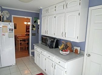 Refrigerator w/icemaker included & water in door