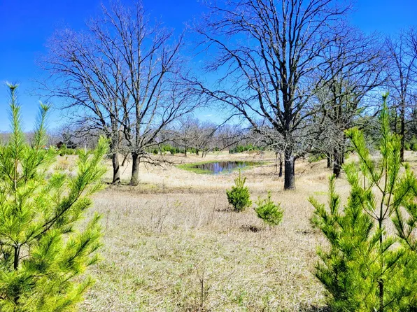 0 Salmonson River Rd, Mora, MN 55051