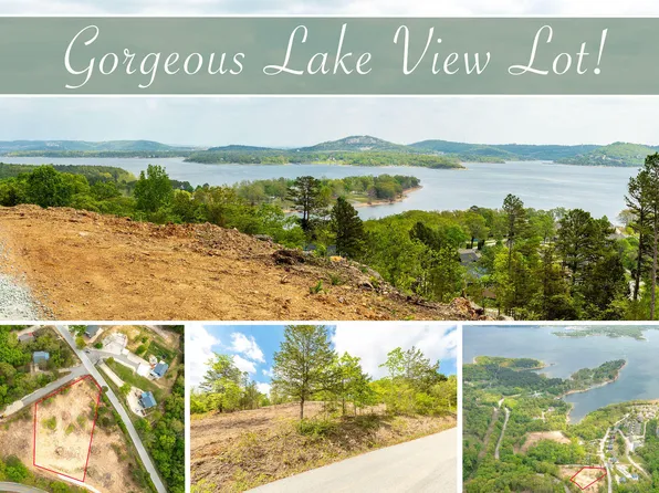 Lot 3 Grizzly Ridge Lane, Blue Eye, MO 65611