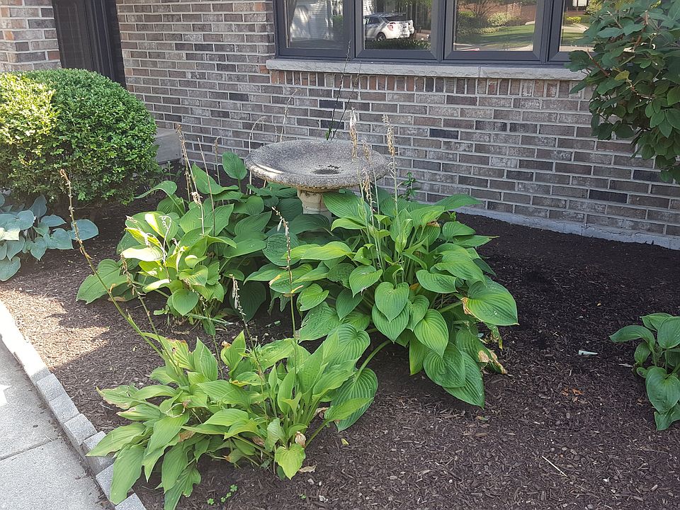 2nd image of 26 Jennifer Ln