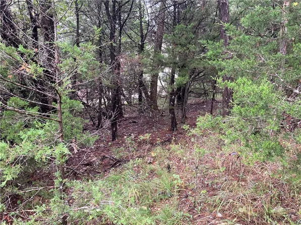 Hillside Dr #16, Eureka Springs, AR 72631