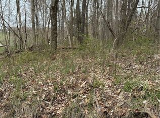 41314 Helen Gregg Rd, Bethesda, OH 43719