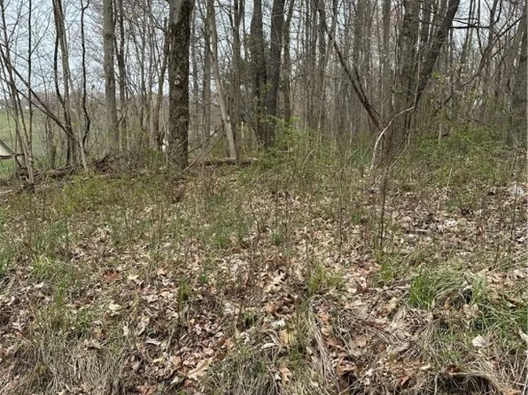 41314 Helen Gregg Rd, Bethesda, OH 43719