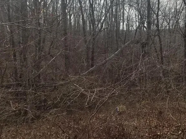 133 Sycamore Dr, Holladay, TN 38341