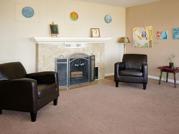Living room fireplace is wood burning.