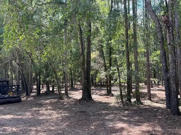 NE 46th Cir, High Springs, FL 32643