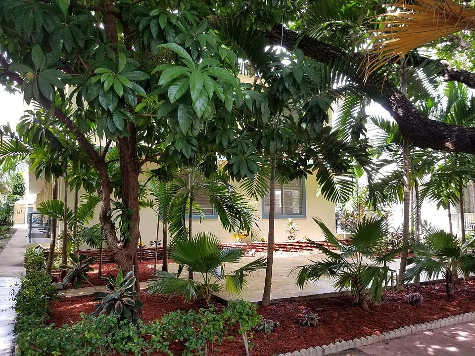 Beautiful tree lined Meridian Avenue. Walk to Flamingo Park, Lincoln Rd., the beach, South Point & more.