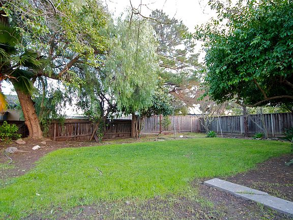 Backyard (has since been landscaped)