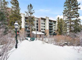 455 Village Rd, Breckenridge, CO 80424