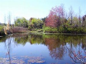 2nd image of 9867 E Lake Rd