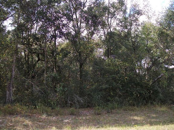 5th image of 2832 Blackberry Ave