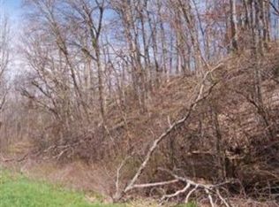 3856 Spout Spring Rd, Fordland, MO 65652