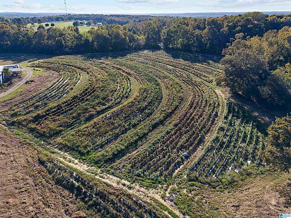 4th image of 0 Reneau Rd #18