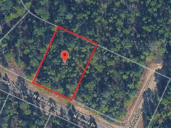 8689 N RONDA DRIVE LOT 5, CITRUS SPRINGS, FL 34433