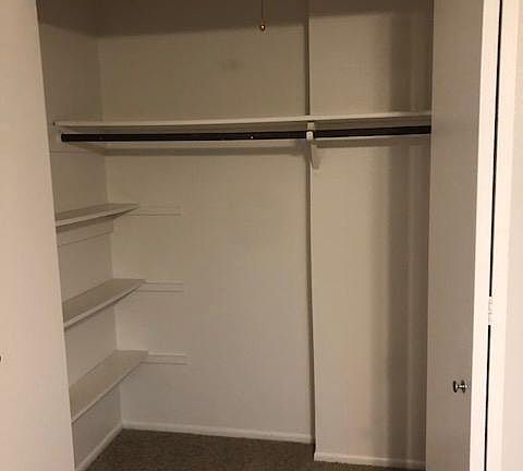 LARGE closet with built-ins