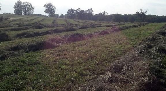 3rd image of 698 State Hwy W