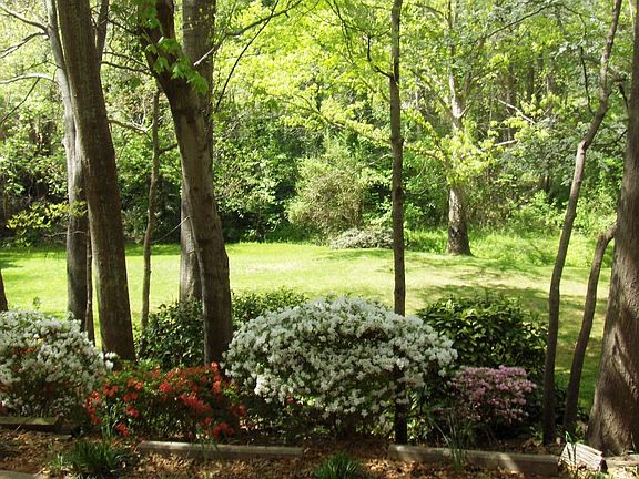 Back Yard (April 2007)