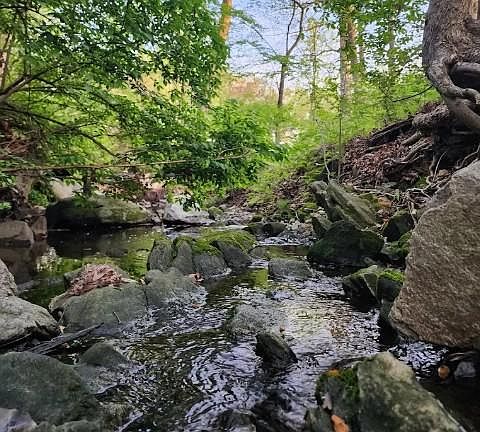 2nd image of 12605 Bluhill Rd