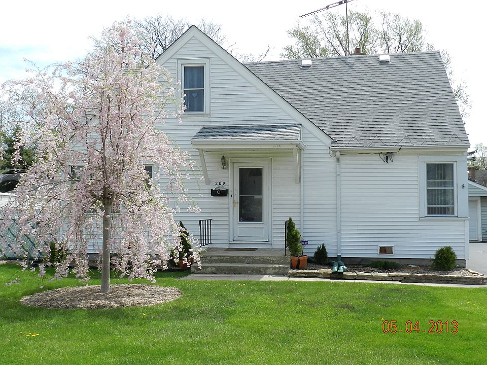 Late April Cherry Willow