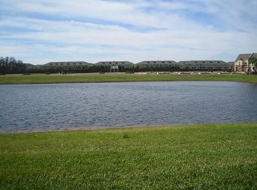 Pond view
