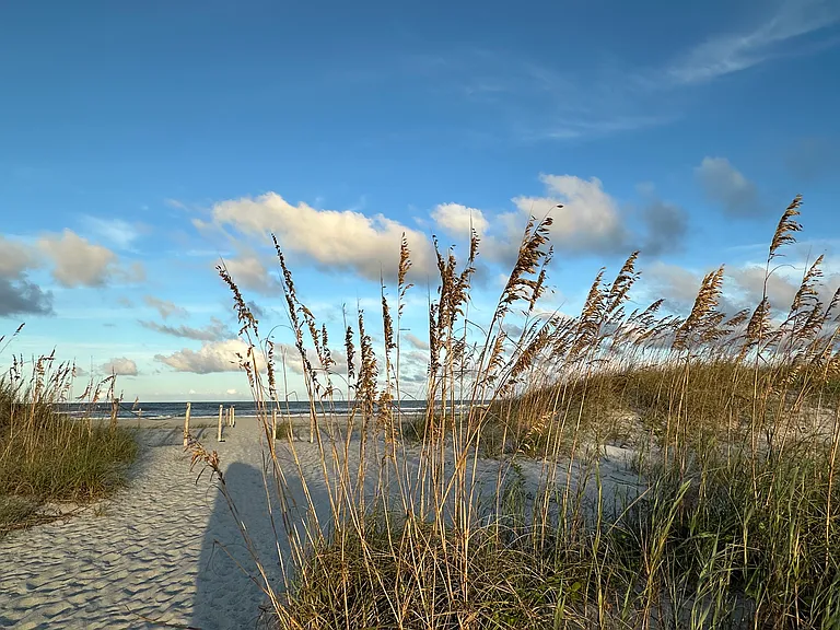 Path to beach