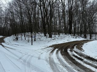 9692 Buffalo Ct, Stanwood, MI 49346