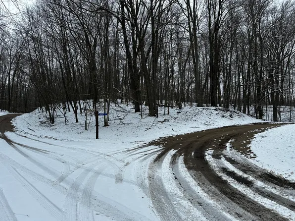 9692 Buffalo Ct, Stanwood, MI 49346
