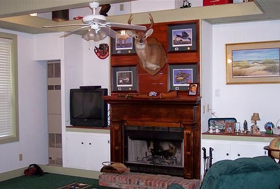 Wood burning FP in living room