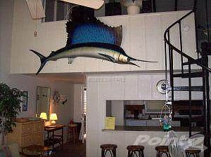 Living Room/Kitchen