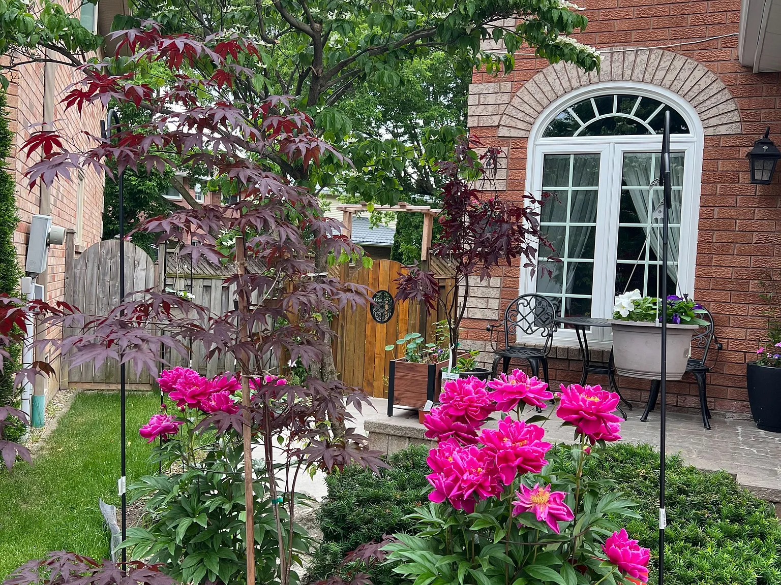 3 bed, $2,500 — Photo 4