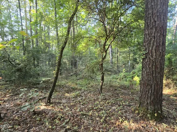 Stump Rd, Gloster, MS 39638