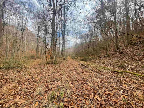 Sand Fork Rd, Walkersville, WV 26447