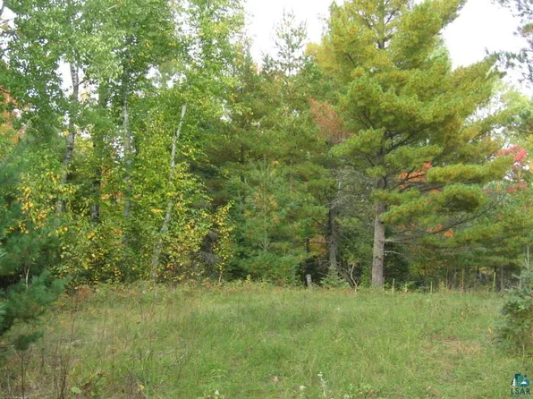 1687 Golden Ridge Tr, Ely, MN 55731