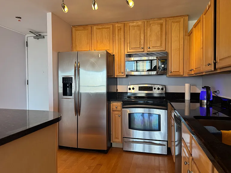 405 N Wabash Ave #4711 — Photo 17