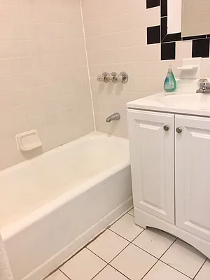 Rented by Manhattan Flats | media 31