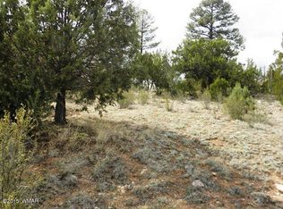 2968 Arrowhead Dr, OVERGAARD, AZ 85933