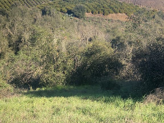 5th image of 26605 Avenida Del Oro