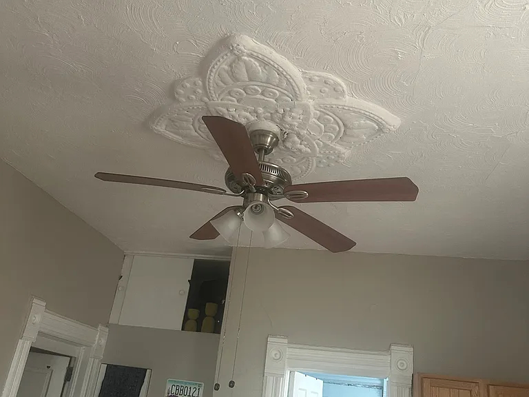 cieling fan