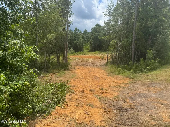 198 Beaver Dam Rd, Mc Henry, MS 39561