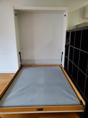 Rented by Furumoto Realty of New York City Inc | media 45