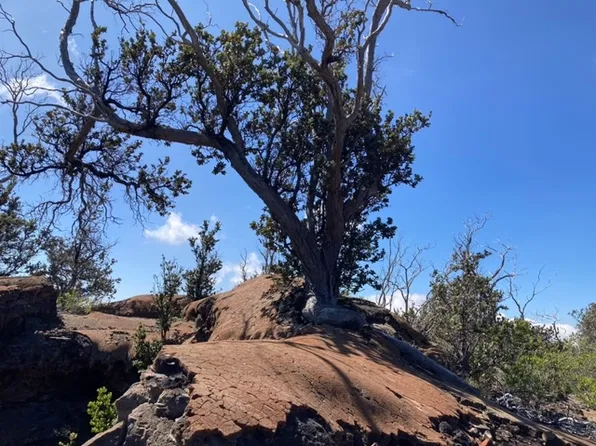 Marlin Blvd Lot 2, Captain Cook, HI 96704