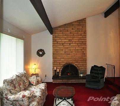 Livingroom fireplace