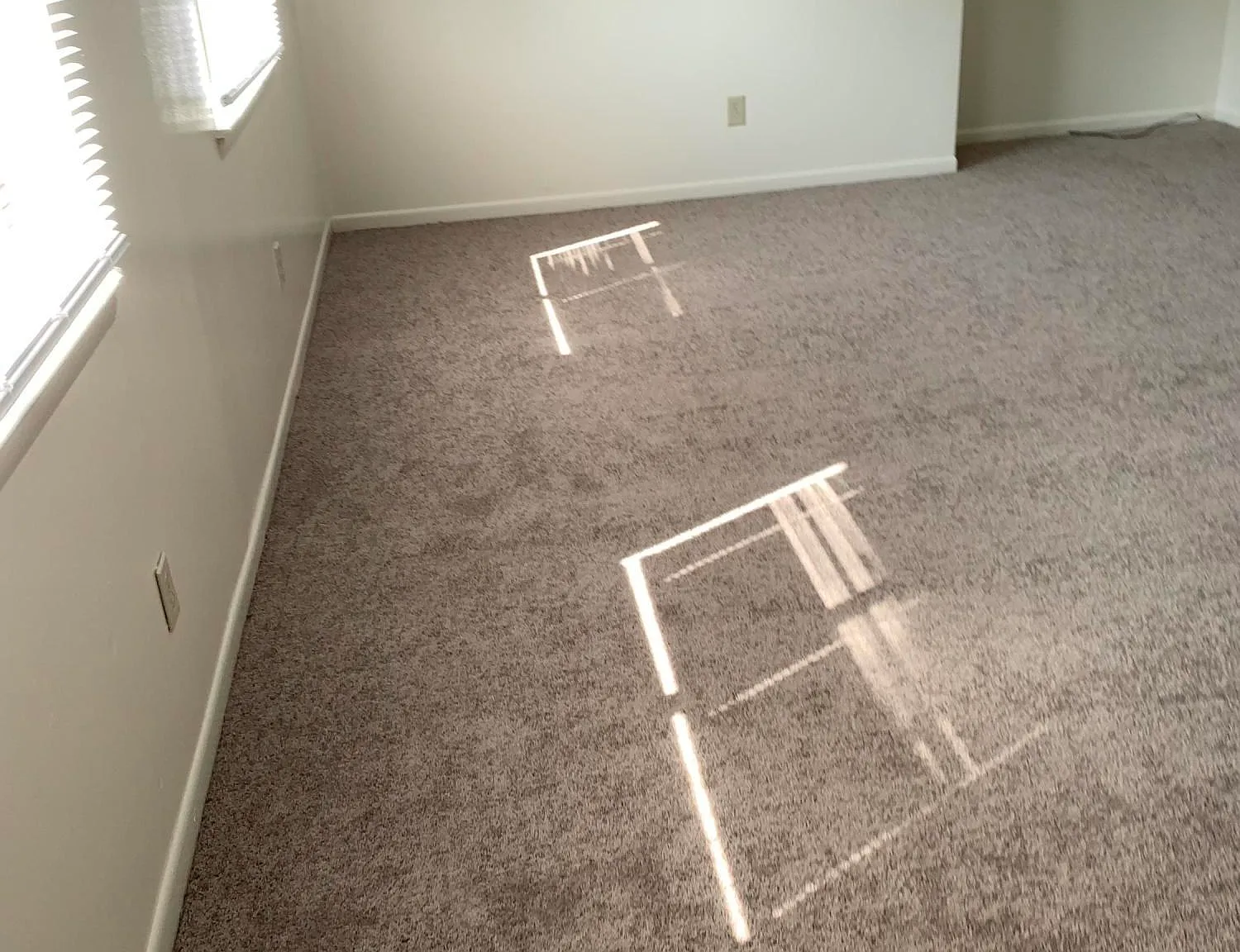 2 bed, 1.0 bath, $975 — Photo 3