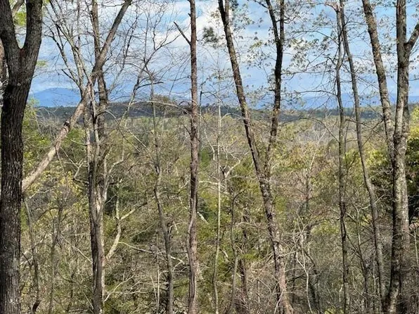 2 Panorama Dr, Dahlonega, GA 30533