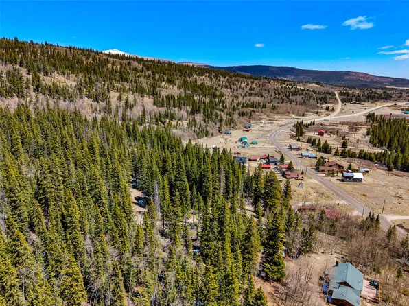 270 Co Rd 667, Alma, CO 80440
