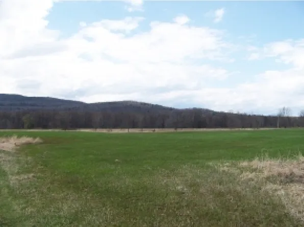 Lot 2 Quaker Village Road, Weybridge, VT 05753