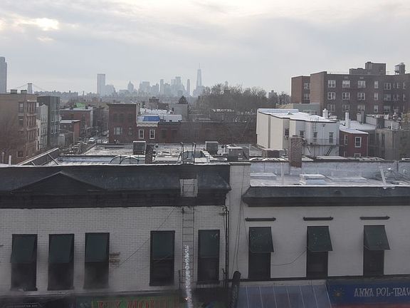 4th image of 818 Manhattan Ave APT 4