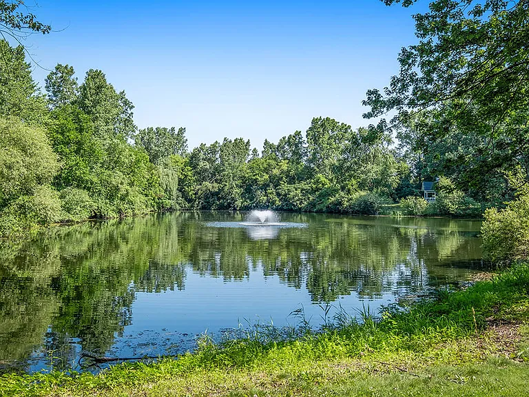 Scenic Pond