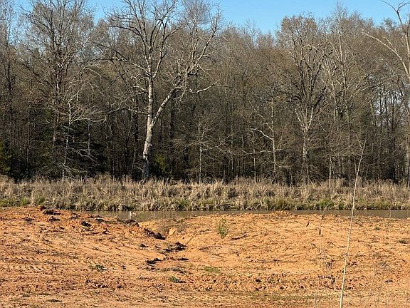 2nd image of 505 Corondelet Ln
