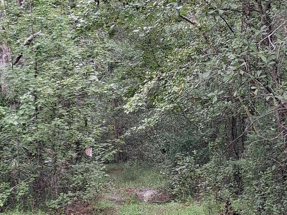 1st image of LOT 9 SKIPPER Road